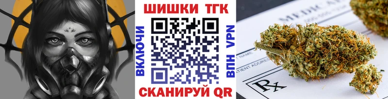 где можно купить   Кедровый  Каннабис ГИДРОПОН 